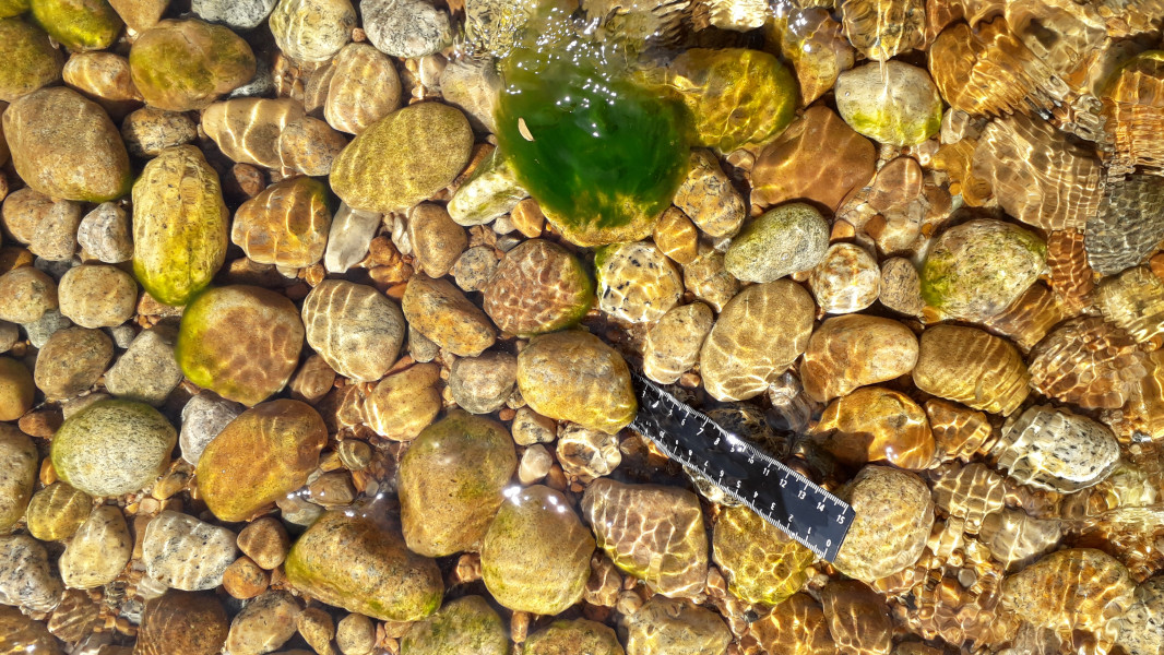 Fig_3