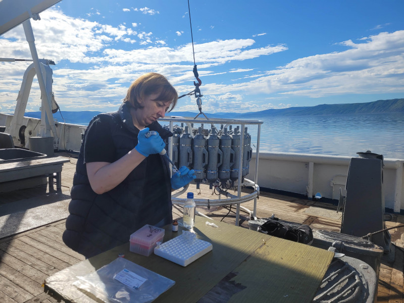 Кат-Кар_20240530_165948