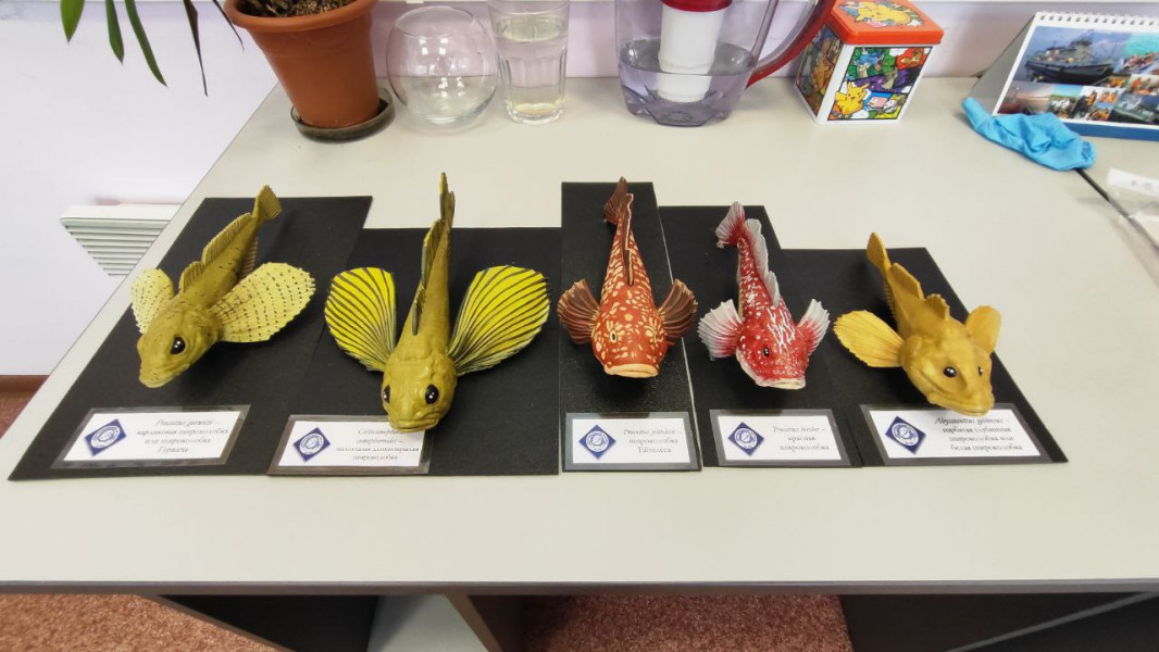 photo_2025-02-11_13-53-47