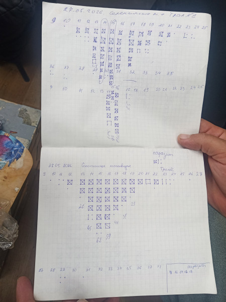 08