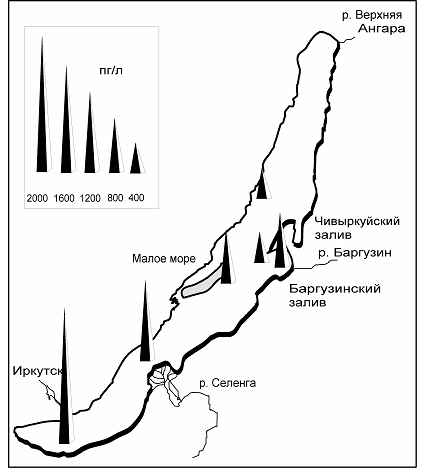 Распределение ПХБ в поверхностных водах Байкала по данным Kucklik et al., 1996.